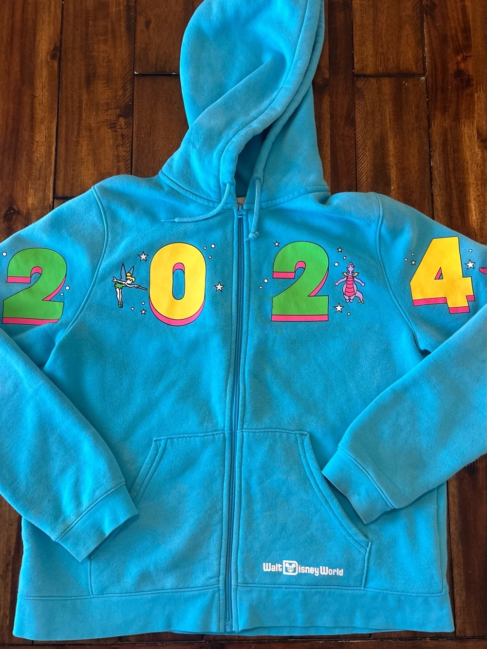 Disney Parks 2024 Hoodie